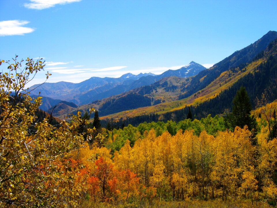 Fall blue sky nature