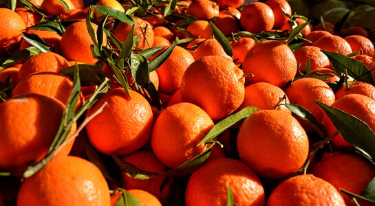 Orange fruit beauty