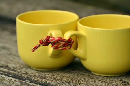 Partnership pull together marry