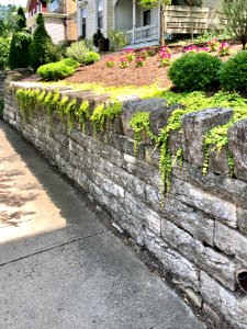 Stone Wall, Elm Street, Ludlow, KY 