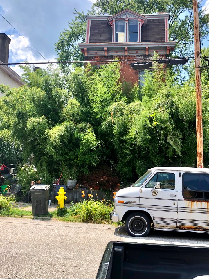 Euclid Street, Ludlow, KY 