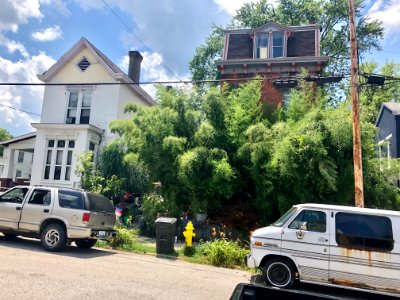 Euclid Street, Ludlow, KY 