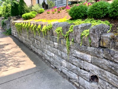 Stone Wall, Elm Street, Ludlow, KY 