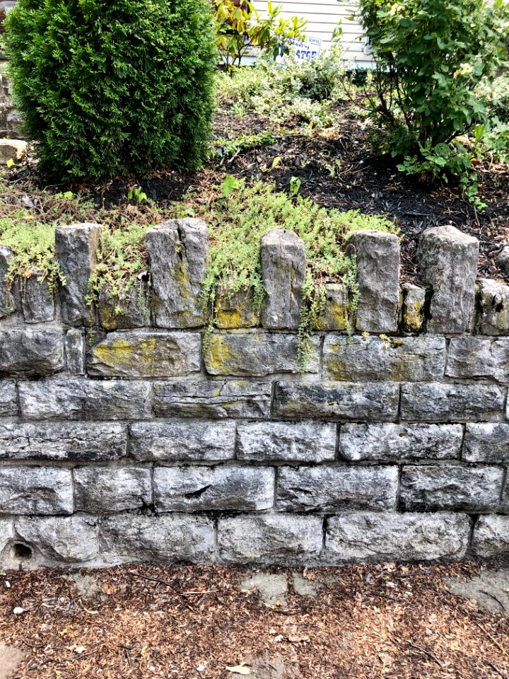 Stone Wall, Elm Street, Ludlow, KY 