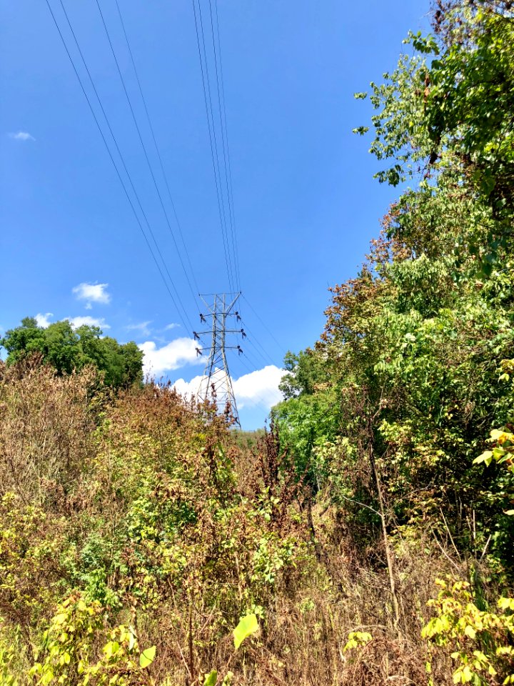 Power Line, Devou Park, Ludlow Lagoon, Ludlow, KY 