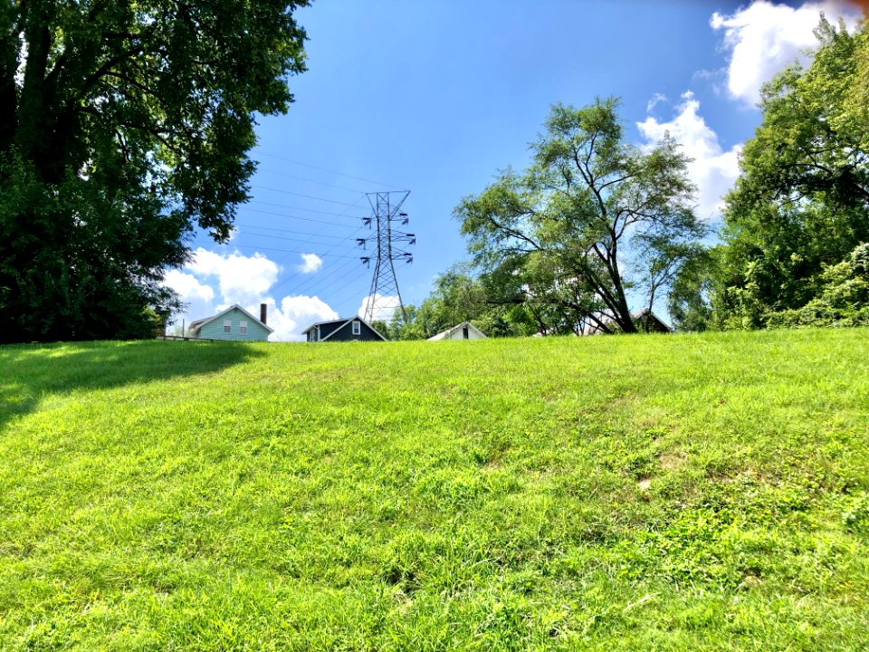 Power Line, Louise Court, Ludlow, KY 
