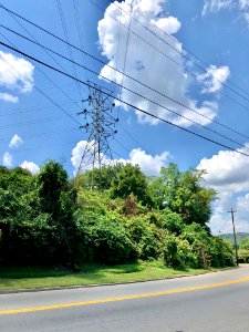 Power Line, Highway Avenue, Ludlow, KY 