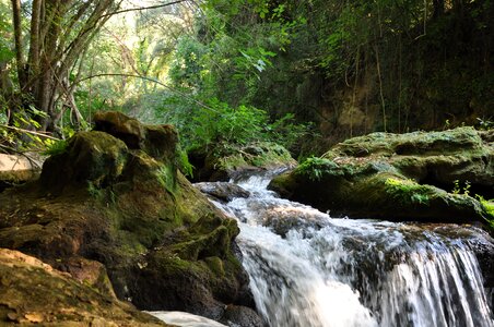 Waterfall river green photo