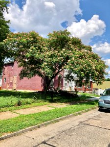 Linden Street, Ludlow, KY 