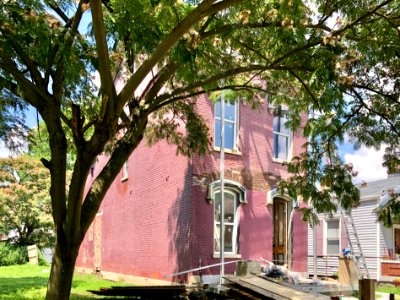 Linden Street, Ludlow, KY 