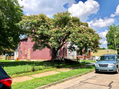 Linden Street, Ludlow, KY 