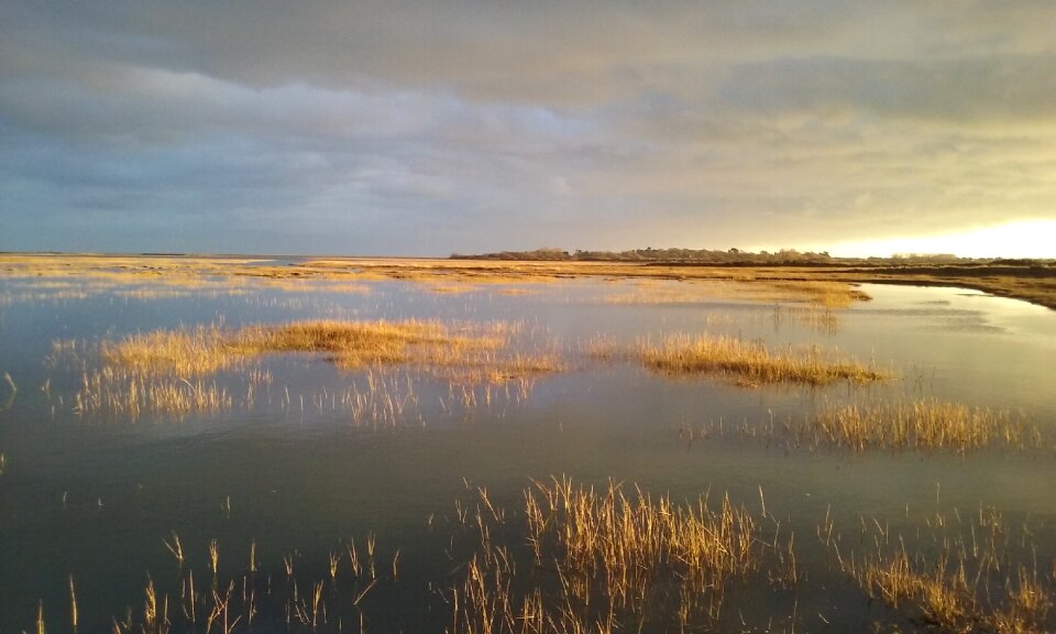 Environment natural wetland