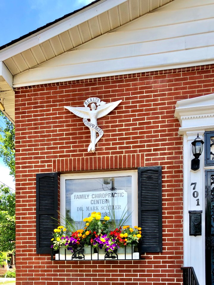 Chiropractic Symbol, Washington Avenue, East Row Historic … 