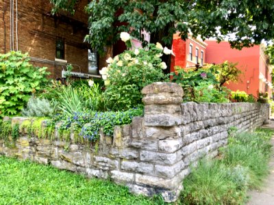 Stone Wall, Cornell Apartments, 4th Street, Mansion Hill, … 