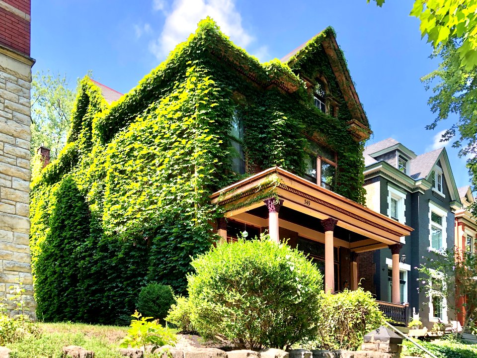 4th Street, Mansion Hill, Newport, KY 