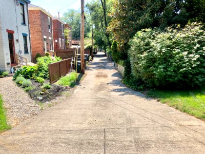 Waters Alley, Mansion Hill, Newport, KY 