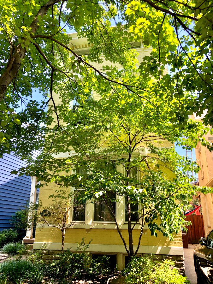 Lexington Avenue, Mansion Hill, Newport, KY 