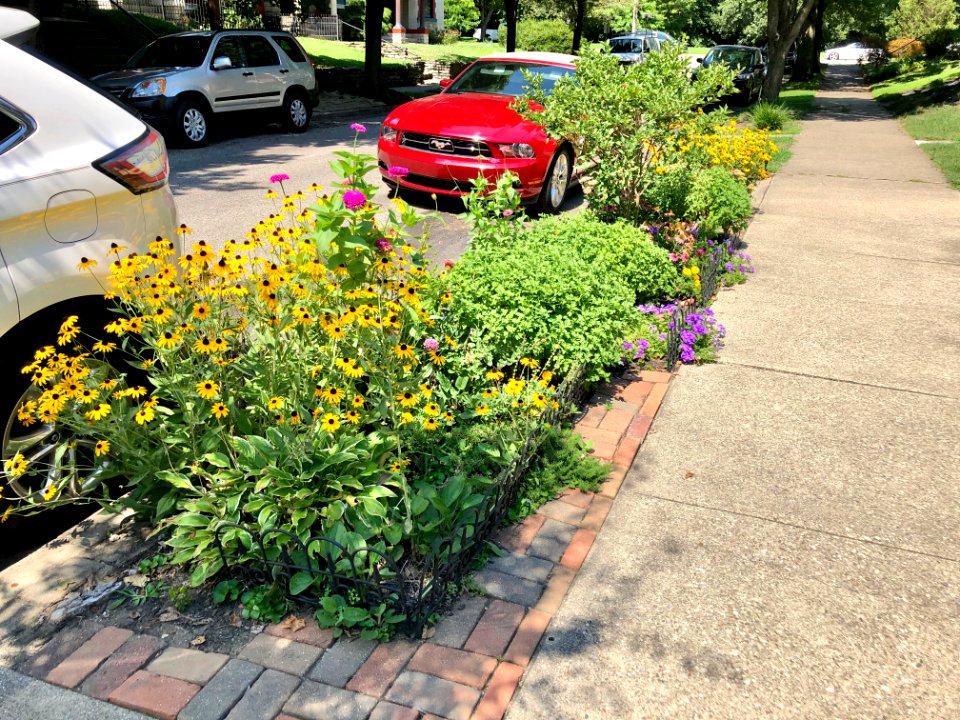 4th Street, Mansion Hill, Newport, KY 