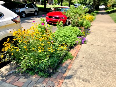 4th Street, Mansion Hill, Newport, KY 