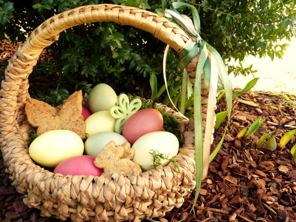 Osterkorb garden looking for easter basket