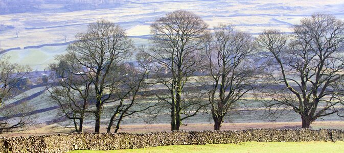 Landscape season nature