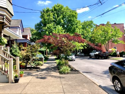 Park Avenue, Mansion Hill, Newport, KY 