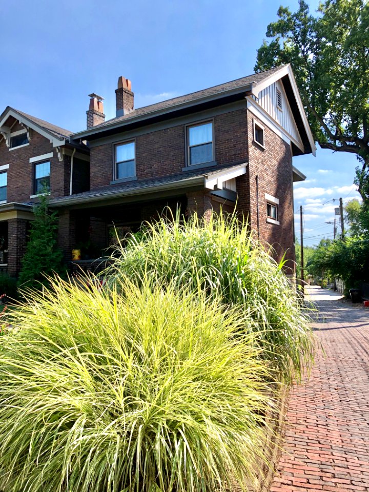 Maple Avenue, Mansion Hill, Newport, KY 