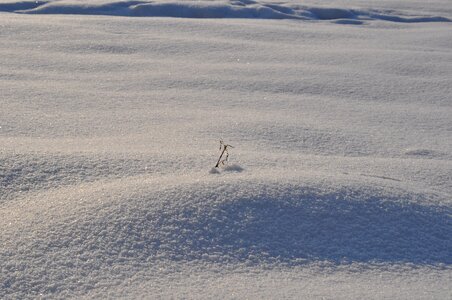 Snowdrift coldly surface photo