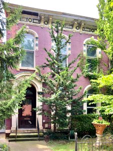 York Street, Newport, KY 