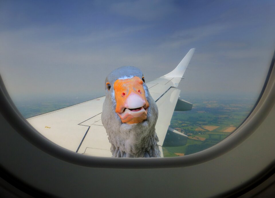 Window remix aircraft window