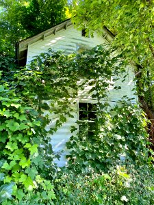 Chapel Hill Road, White Rock, NC 