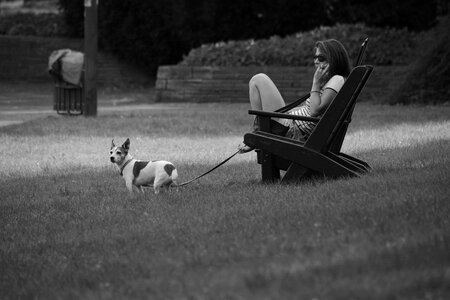 Rest phone call dog