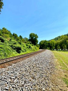 Railroad Tracks, Barnard, NC 