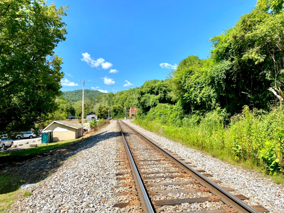 Railroad Tracks, Barnard, NC 