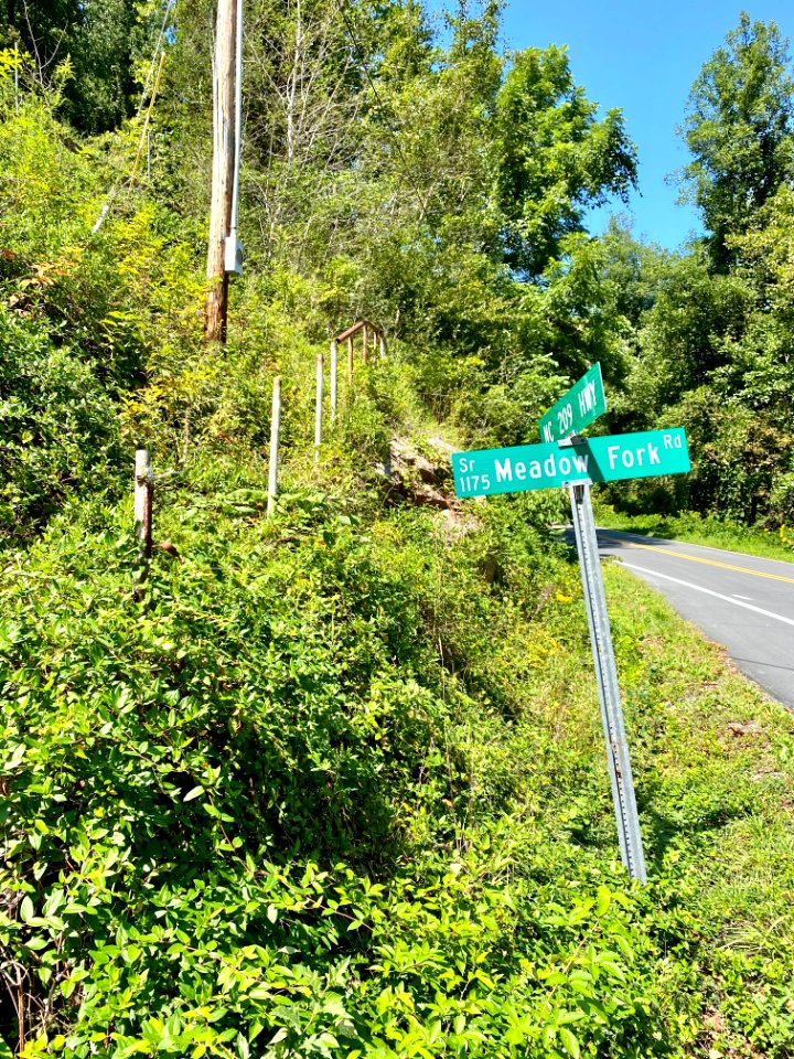 Meadow Fork Road and North Carolina State Highway 209, Blu… 