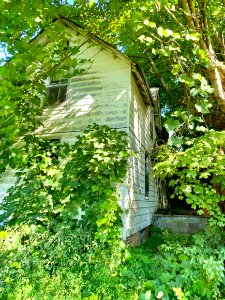 Chapel Hill Road, White Rock, NC 