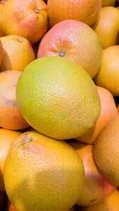 Citrus grapefruit fruit