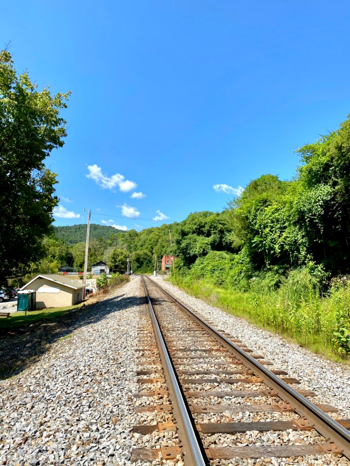 Railroad Tracks, Barnard, NC 