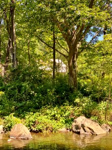 Spring Creek, Bluff, NC 