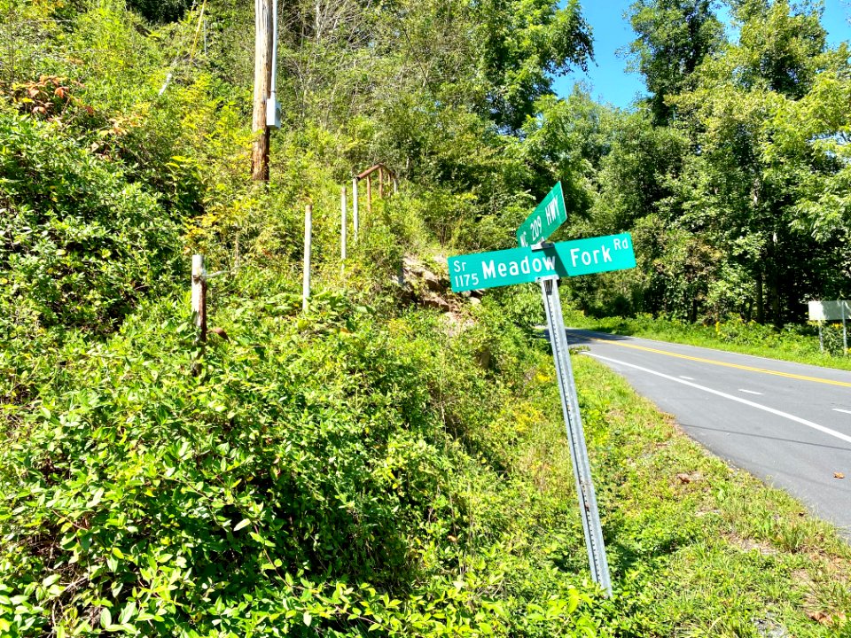 Meadow Fork Road and North Carolina State Highway 209, Blu… 