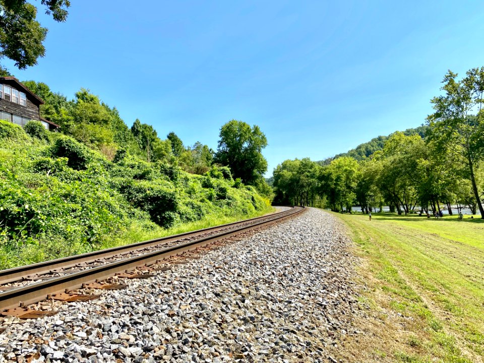 Railroad Tracks, Barnard, NC 