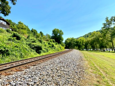 Railroad Tracks, Barnard, NC 