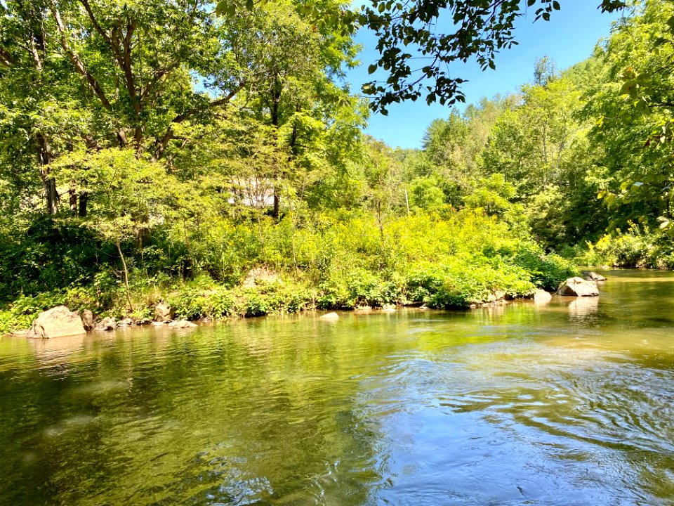 Spring Creek, Bluff, NC 