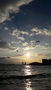 The night sky glow new sea gull