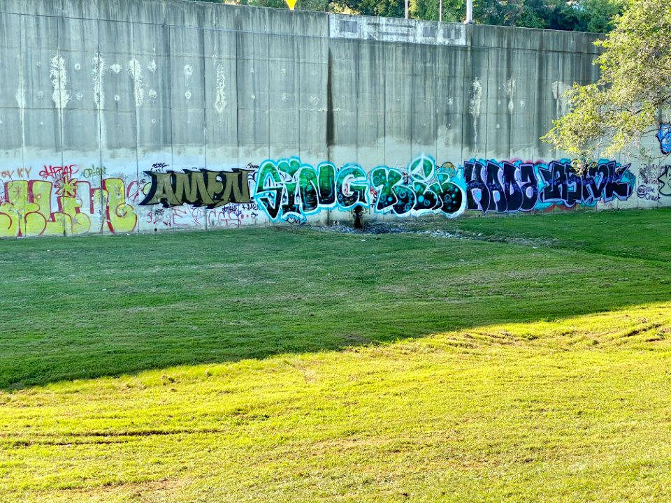 Interstate Retaining Wall Graffiti, Goebel Park, Mainstras… 