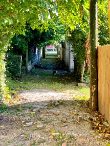 Bakewell Street Alley, Mainstrasse Village, Covington, KY 