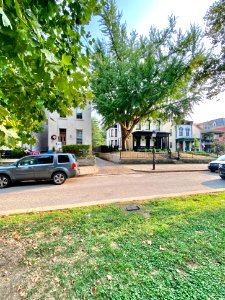 George Steinford Park (6th Street), Mainstrasse Village, C… 