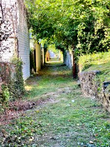 Bakewell Street Alley, Mainstrasse Village, Covington, KY 