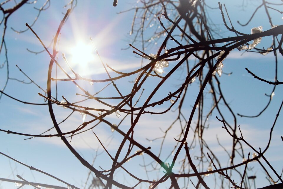 Nature aesthetic light
