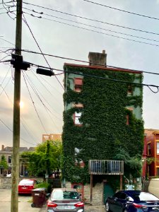 Main Street, Mainstrasse Village, Covington, KY 